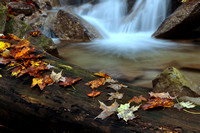 Autumn Brook